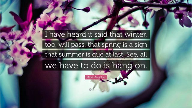 2873941-Maya-Angelou-Quote-I-have-heard-it-said-that-winter-too-will-pass